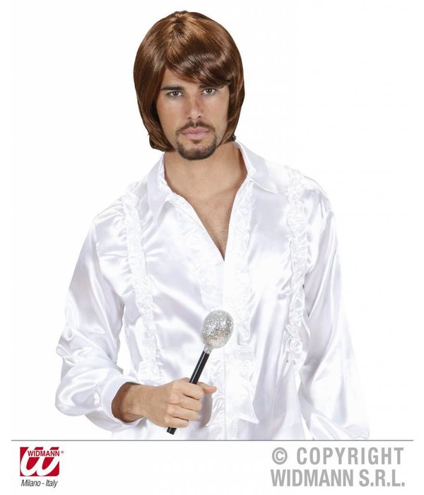 Pruik Popster 70's Bjorn