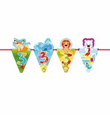 3 Jaar Fun Vlaggenlijn - 6 meter