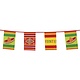 Vlaggenlijn Fiesta Mexico - 10 meter
