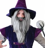 Pruik Magier/Tovenaar