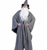 Grijze Tovenaarskostuum