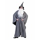 Grijze Tovenaarskostuum