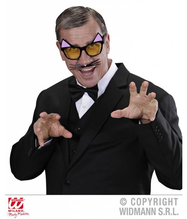 Bril Kater met snorharen