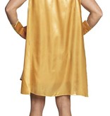 Grieks Herenkostuum Apollo