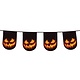 Vlaggenlijn Creepy Pumpkin dubbelzijdig (6 m)