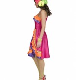 Caribisch Carnaval Kleuren Jurkje Vrouw