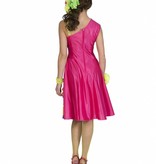 Caribisch Carnaval Kleuren Jurkje Vrouw