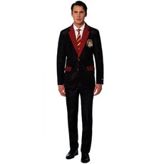 Carnaval kostuum Harry Potter 3-Delig zwart