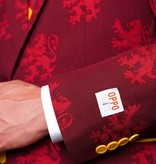 Harry Potter kostuum opposuits