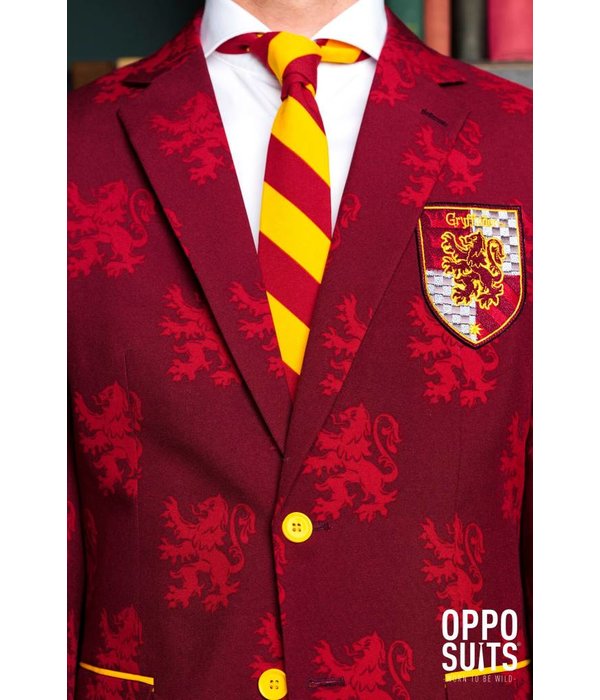 Harry Potter kostuum opposuits