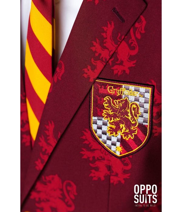 Harry Potter kostuum opposuits