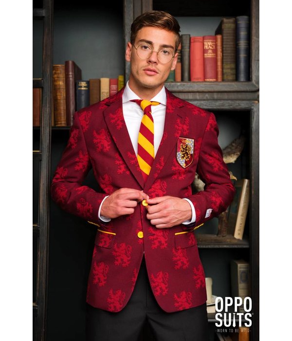 Harry Potter kostuum opposuits