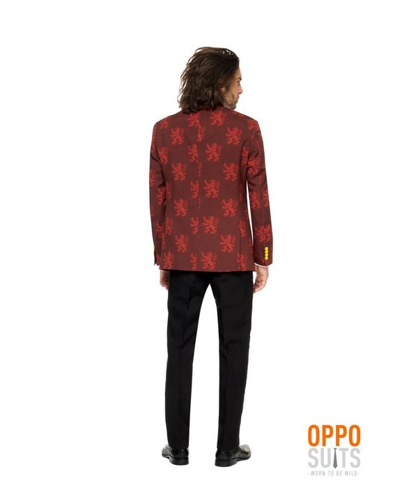 Harry Potter kostuum opposuits