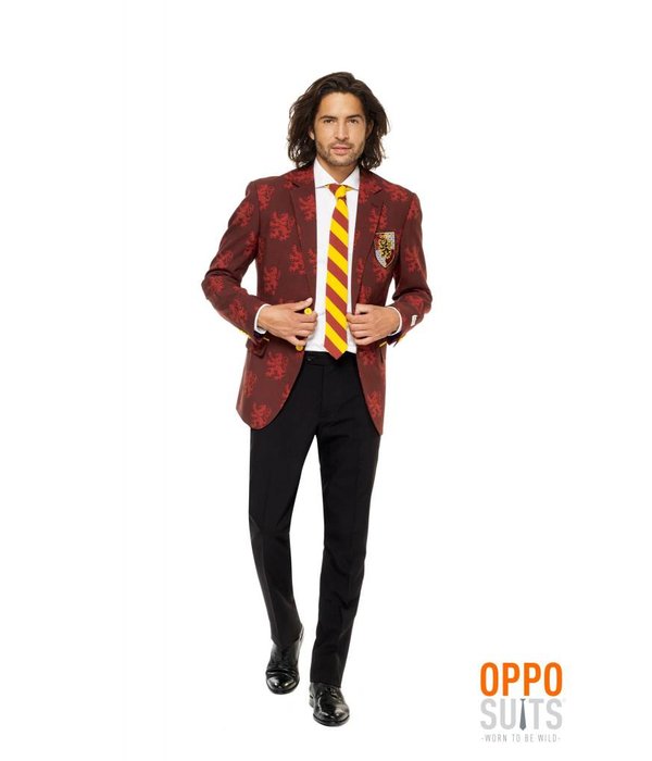 Harry Potter kostuum opposuits