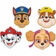 Paw Patrol maskers papier - 8 stuks