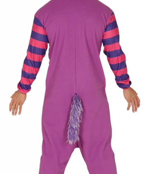 Paars Gestreepte Kat Kostuum