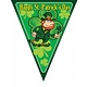 Vlaggenlijn St.Patricks Day 5m 10 vlaggen