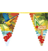 Reuzen Vlaggenlijn Beach Hawaii (6m)