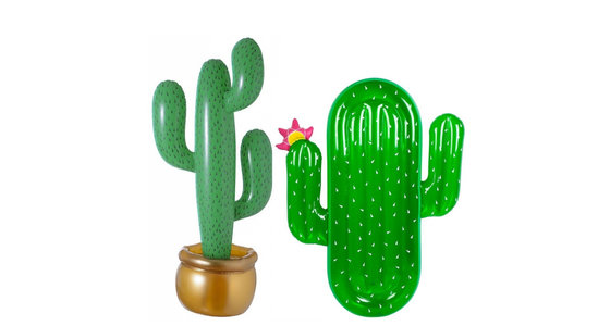 Opblaas cactus
