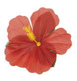Hawaii Decoratie Bloemen Set (24 stuks)