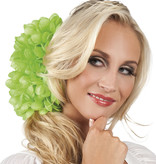 Haarabloem Dahlia limoengroen