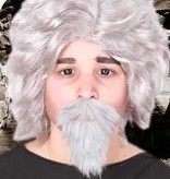 Snor + Baard professor grijs