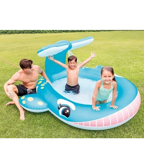 Opblaasbaar Zwembad Walvis
