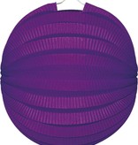 Bollampion Paars 23 cm