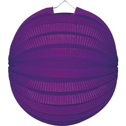 Bollampion Paars 23 cm