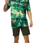 Hawaii blouse groen