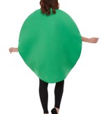 Watermeloen verkleedpak