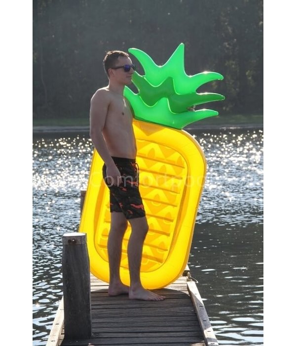 Luchtbed Ananas