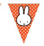 Vlaggenlijn Nijntje 10m