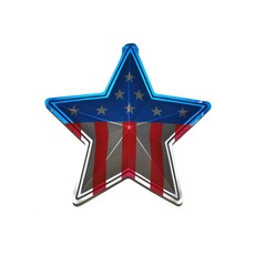 Wanddecoratie USA Ster