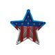 Wanddecoratie USA Ster