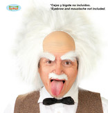 Einstein Pruik Met Kaal Voorhoofd