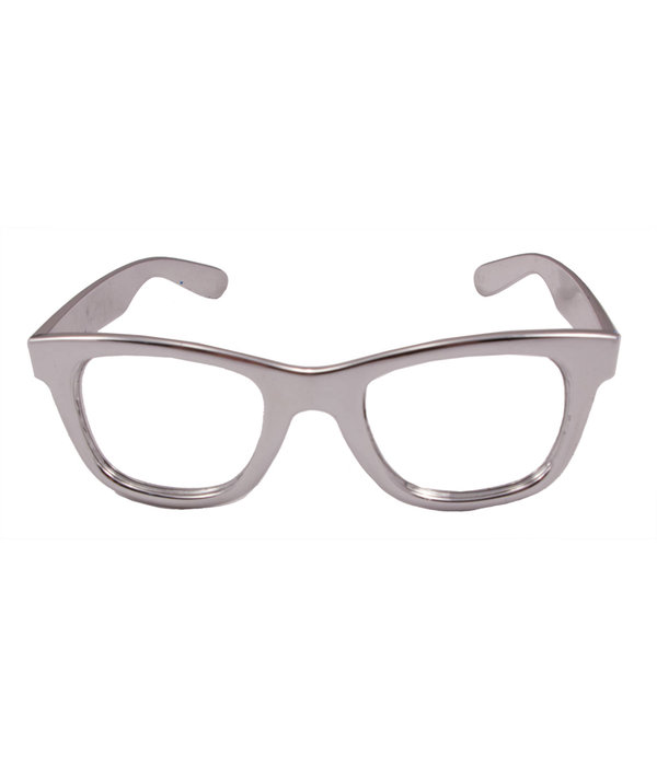 Bril Metallic Zilver