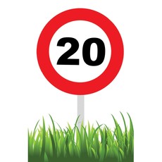 Verkeersbord 20 Jaar tuin 36cm