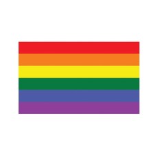 Regenboog vlag 90x150cm