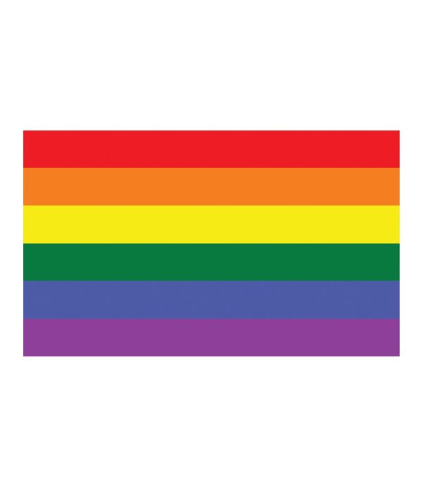 Regenboog vlag 90x150cm