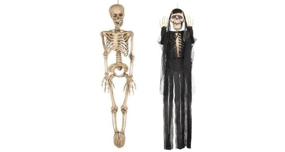 niet voldoende Beangstigend Mondwater Halloween decoratie; grootste en engste assortiment! - Feestbazaar.nl