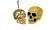 Skull Decoratie