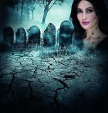 Spinnen Tattoo stickers