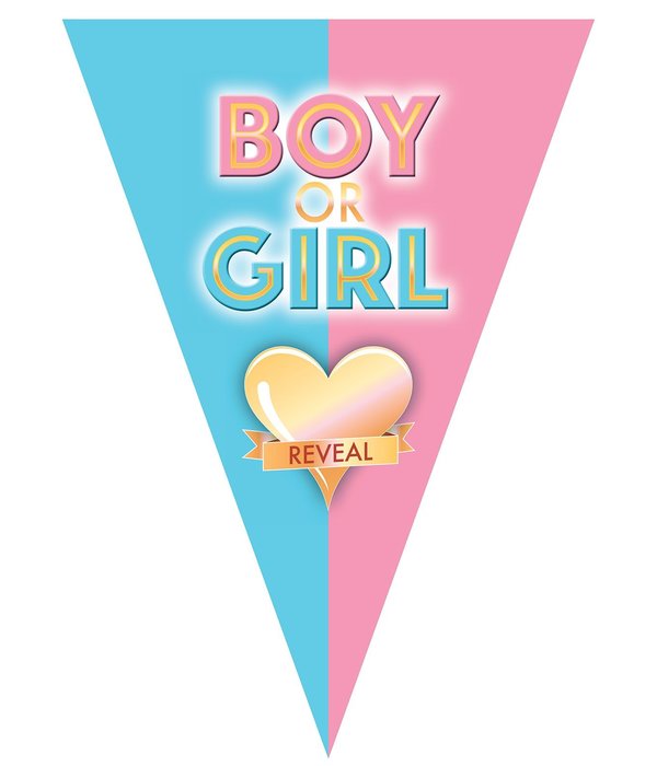 Vlaggenlijn Gender Reveal 5m