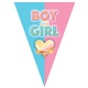 Vlaggenlijn Gender Reveal 5m