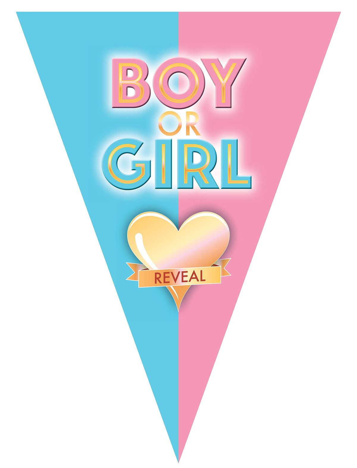Vlaggenlijn Gender Reveal 5m