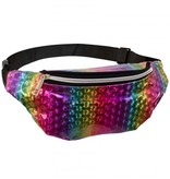 Heuptasje Regenboog