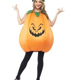 Pompoen Pak Kostuum Volwassenen
