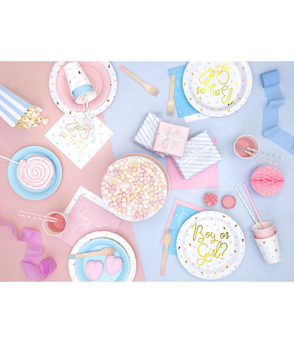 Bordjes Gender Reveal Party - 6 Stuks