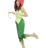Paddestoel Pixie Kostuum
